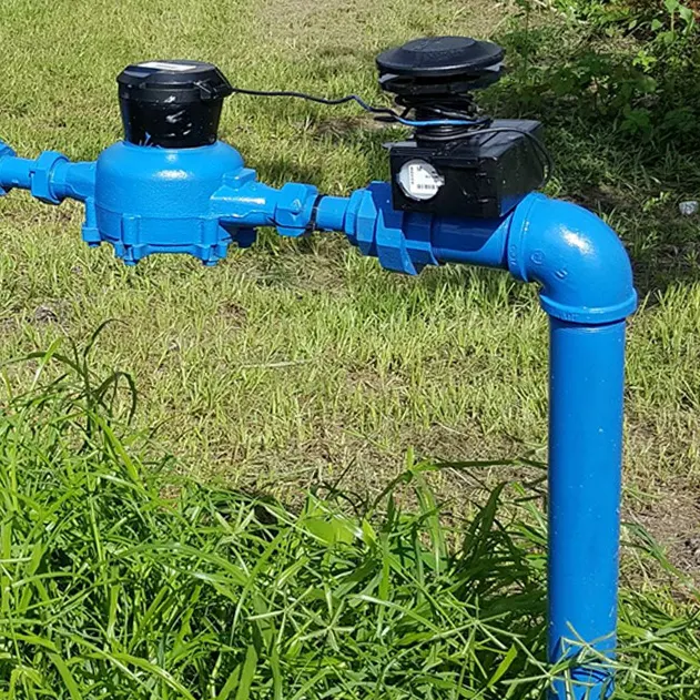 Backflow Testing